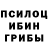 Галлюциногенные грибы мухоморы torghar safi