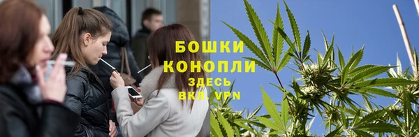 индика Белоозёрский