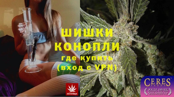 индика Белоозёрский