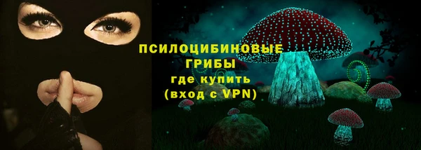 бутират Белокуриха