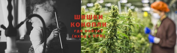 индика Белоозёрский