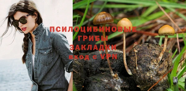 стаф Семилуки