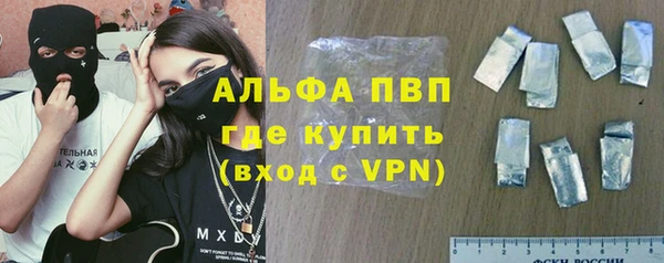 индика Белоозёрский